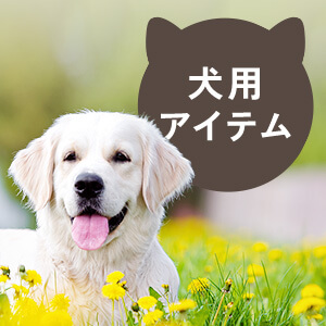 犬用アイテム