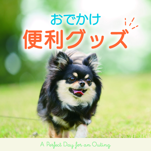 おでかけお散歩用品